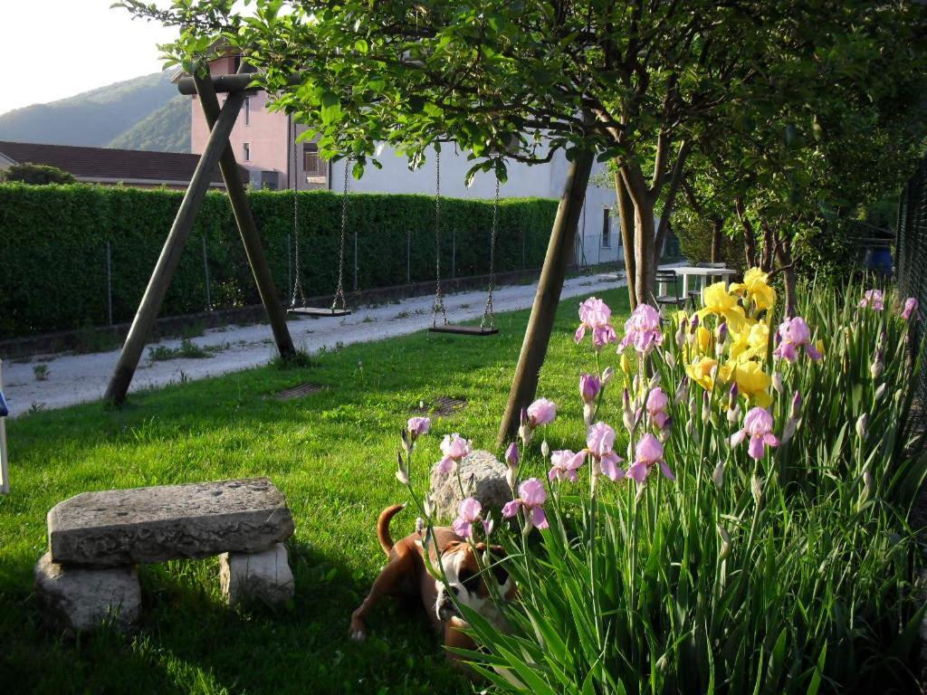 B&B Casa Francesca Alano Di Piave Exterior photo
